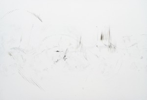 Jeroen Jongeleen, Influenza: Dirty Line as a Landscape, 2007